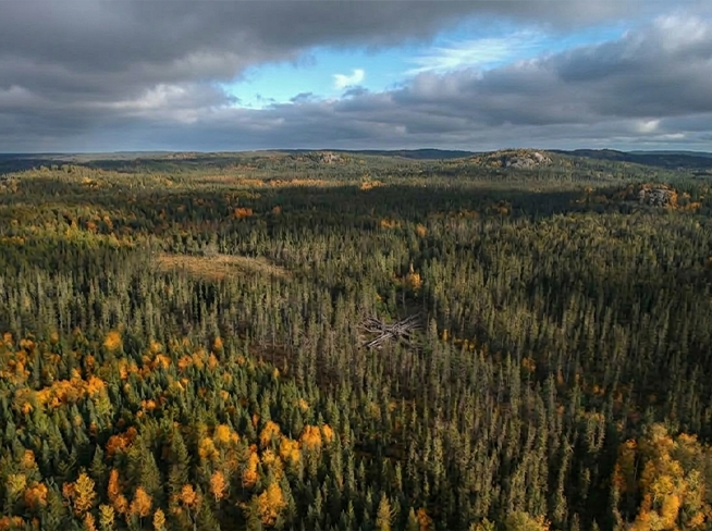 Gullrock Background image