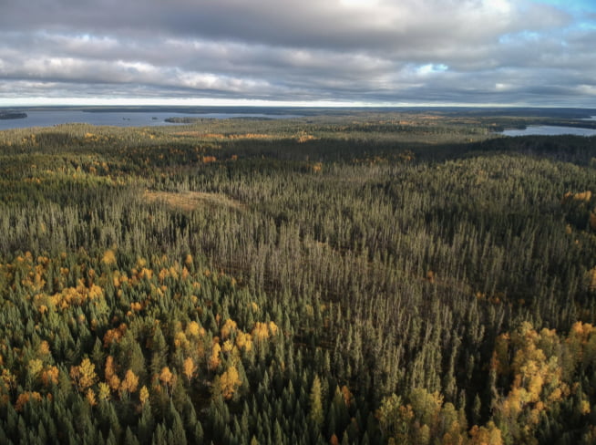 Gullrock Background image